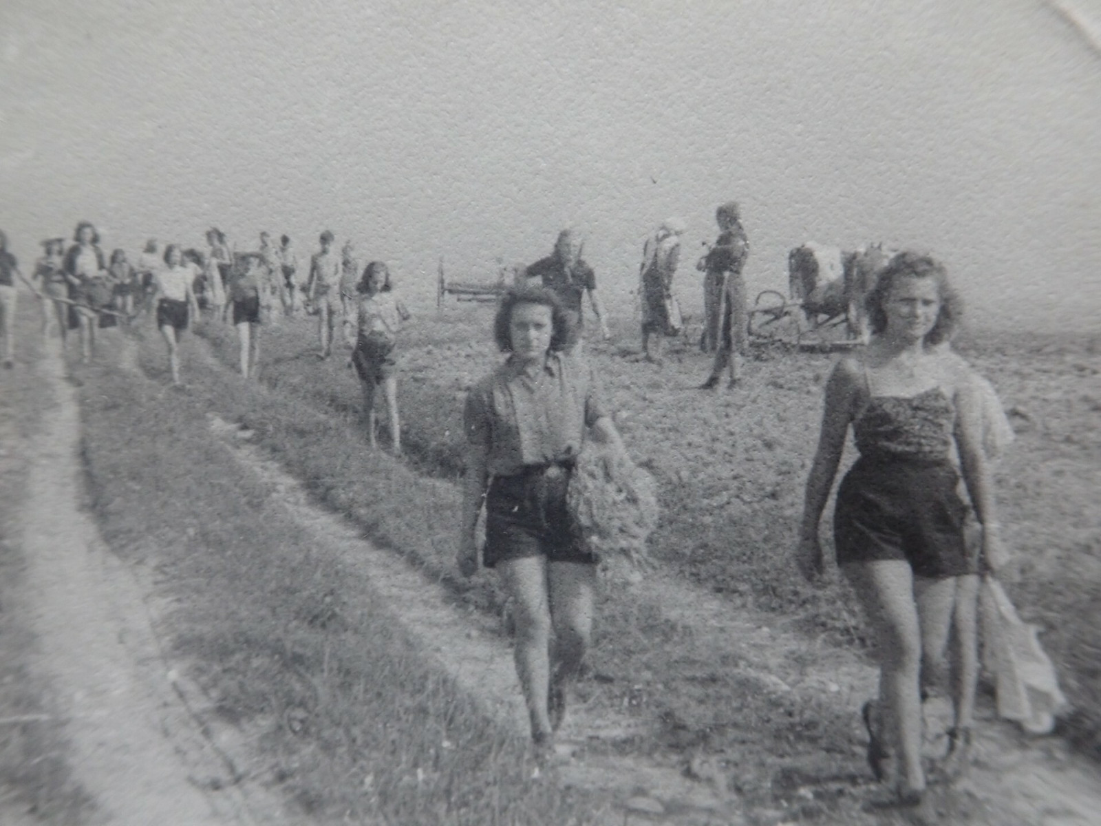 Po skončení 2. světové války – v létě 1945 jsme zorganizovali “žnový“ skautský tábor ve Zdoňově u Adršpachu, kde byla po odsunu německého obyvatelstva ohrožena sklizeň  na státním statku. Pouhé dva měsíce po obnovení činnosti jsme byli schopni vyslat...