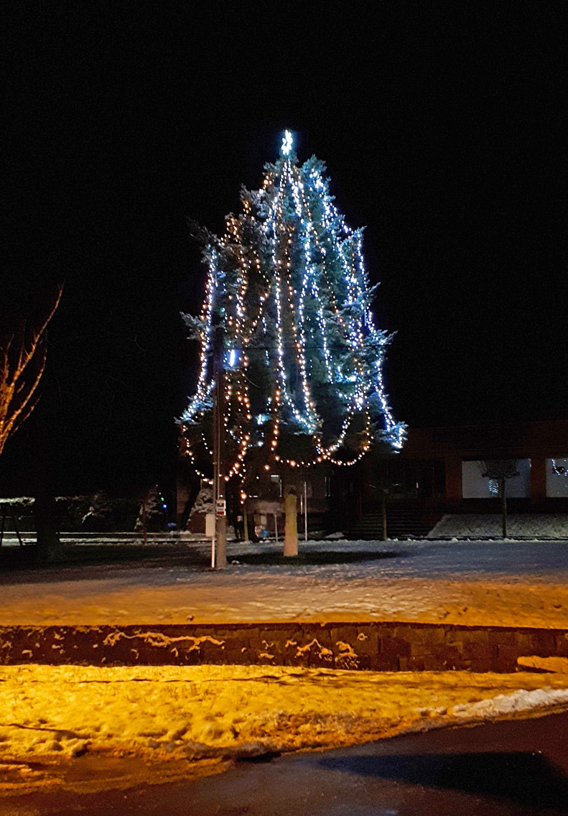 Choustn�kovo Hradi�t� 2017